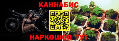 гидропоника Жуковский