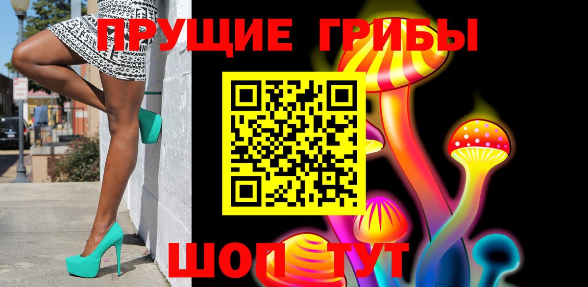Псилоцибиновые грибы GOLDEN TEACHER Малгобек